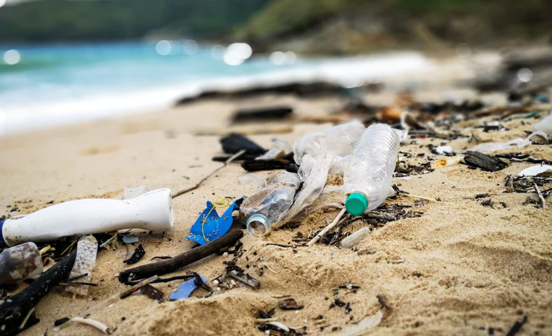 A Plastic Bottle’s Harmful Effects A Plastic Bottle's Harmful Effects