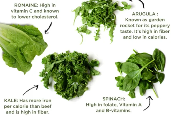 health benefits of greens health benefits of greens