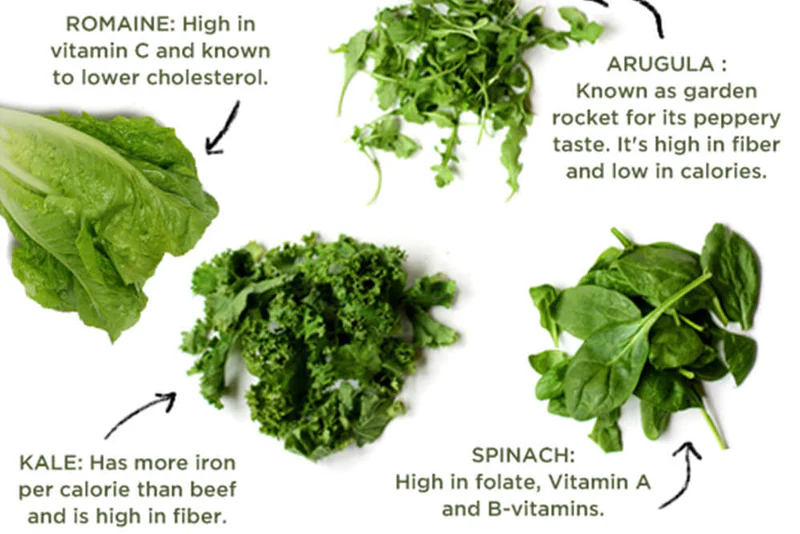 6 Benefits Of Mustard Greens, Nutrition, Risks, & Recipes