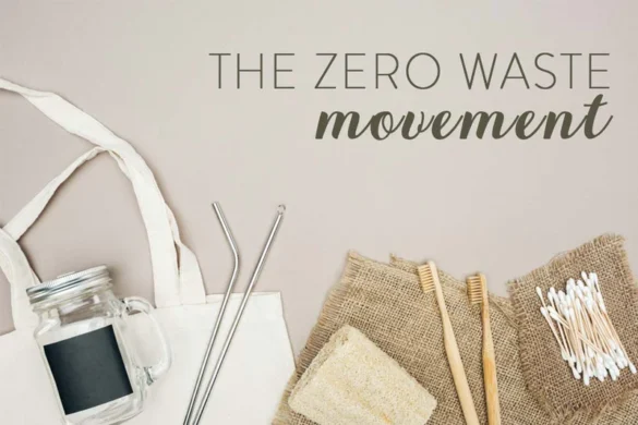 zero waste journey