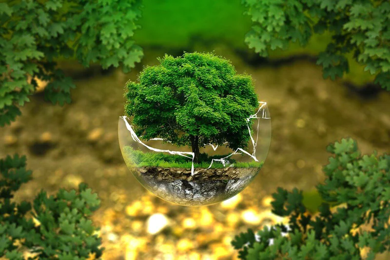 6 actionable ways to go green Ways to go green