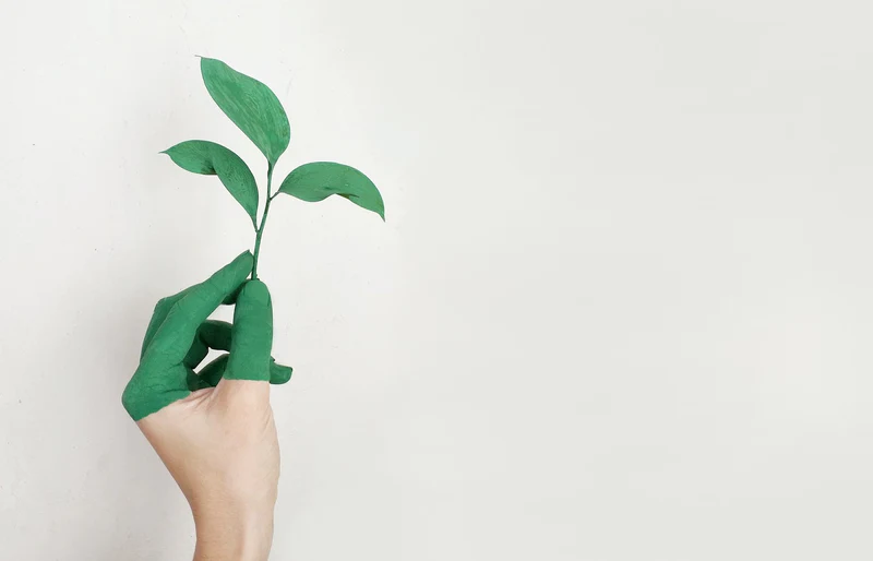 Retirement Investing Can Be Green, Too! Retirement Investing Can Be Green, Too!