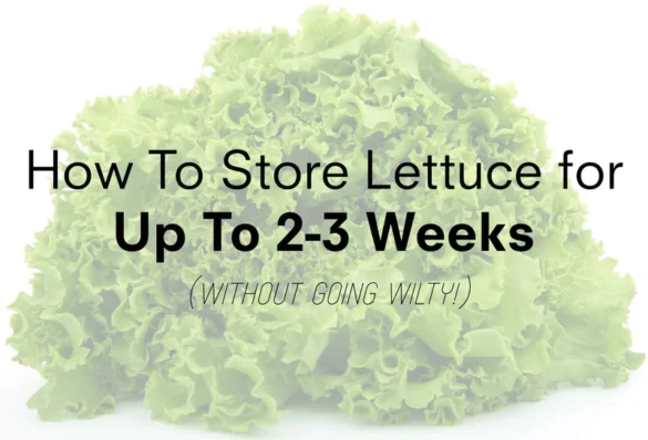 how to store lettuce