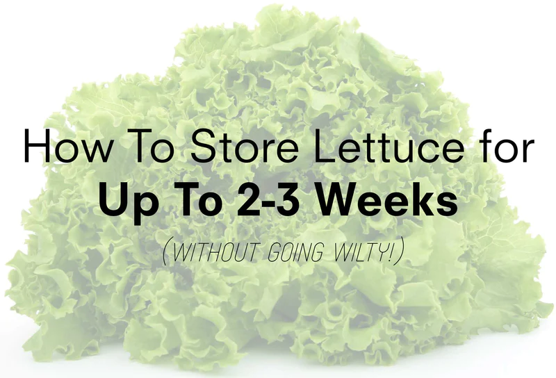 Best way to store your lettuce to last all week - Savory and Savvy