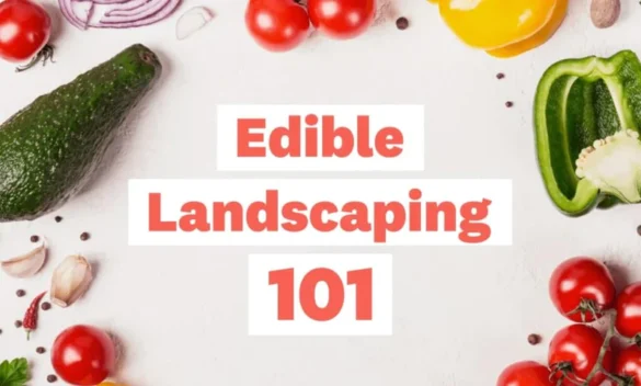 edible landscaping 101