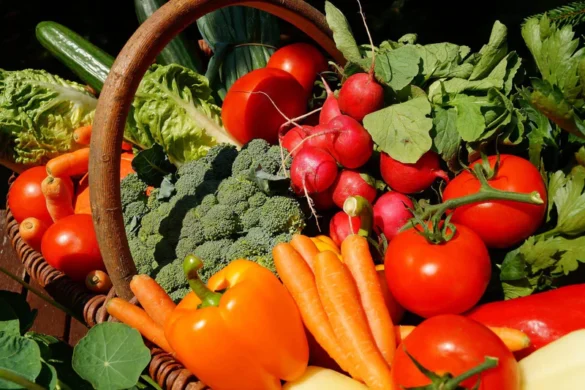 vegetables_for_kids vegetables for kids