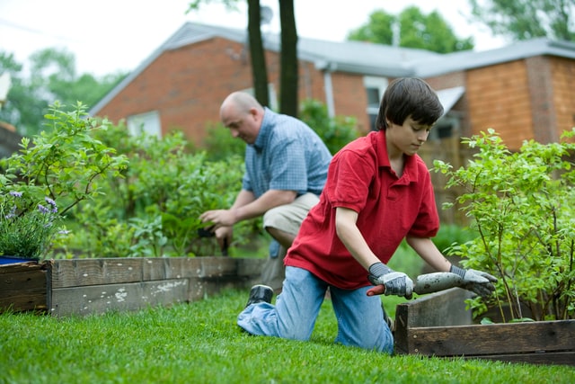 boy and older man showing how to grow your own vegetable garden
