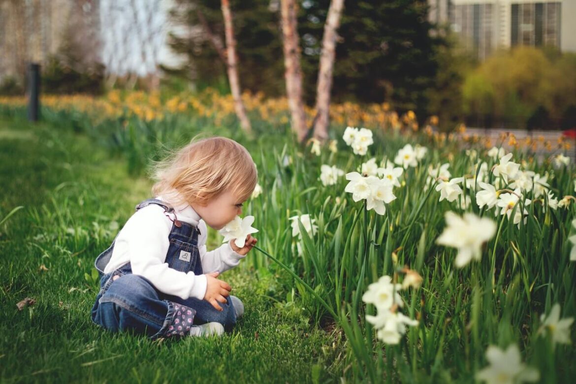 lawn-care eco friendly lawn care