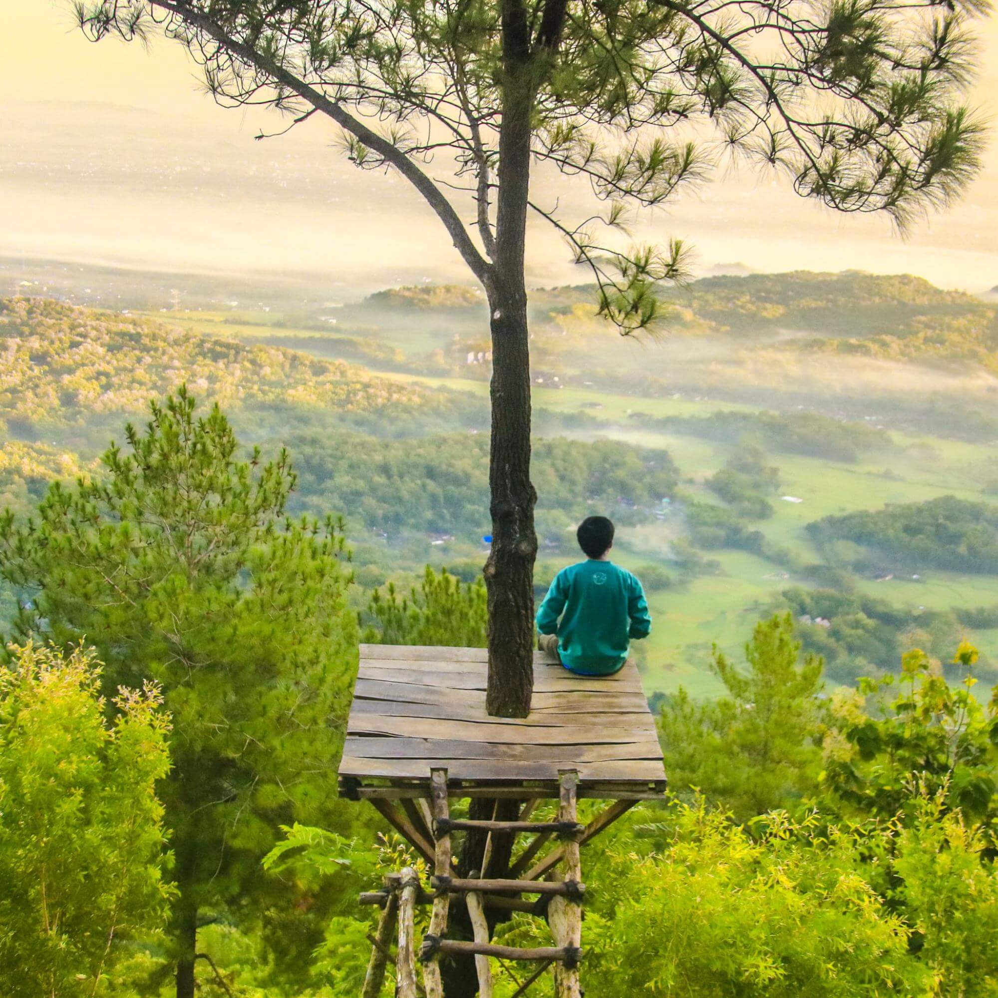 man coping with eco-anxiety by observing nature