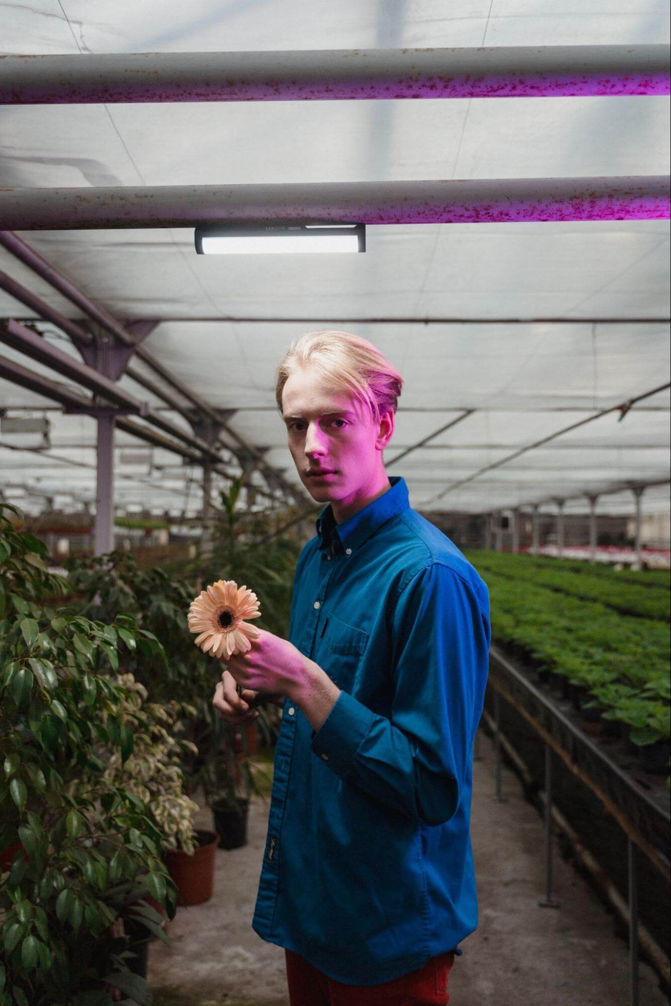 man holding a flower depicts how to cope with eco-anxiety