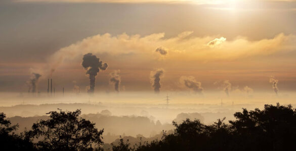 the impact of carbon offsets on emissions