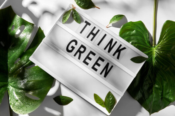 understanding the hype behind sustainability
